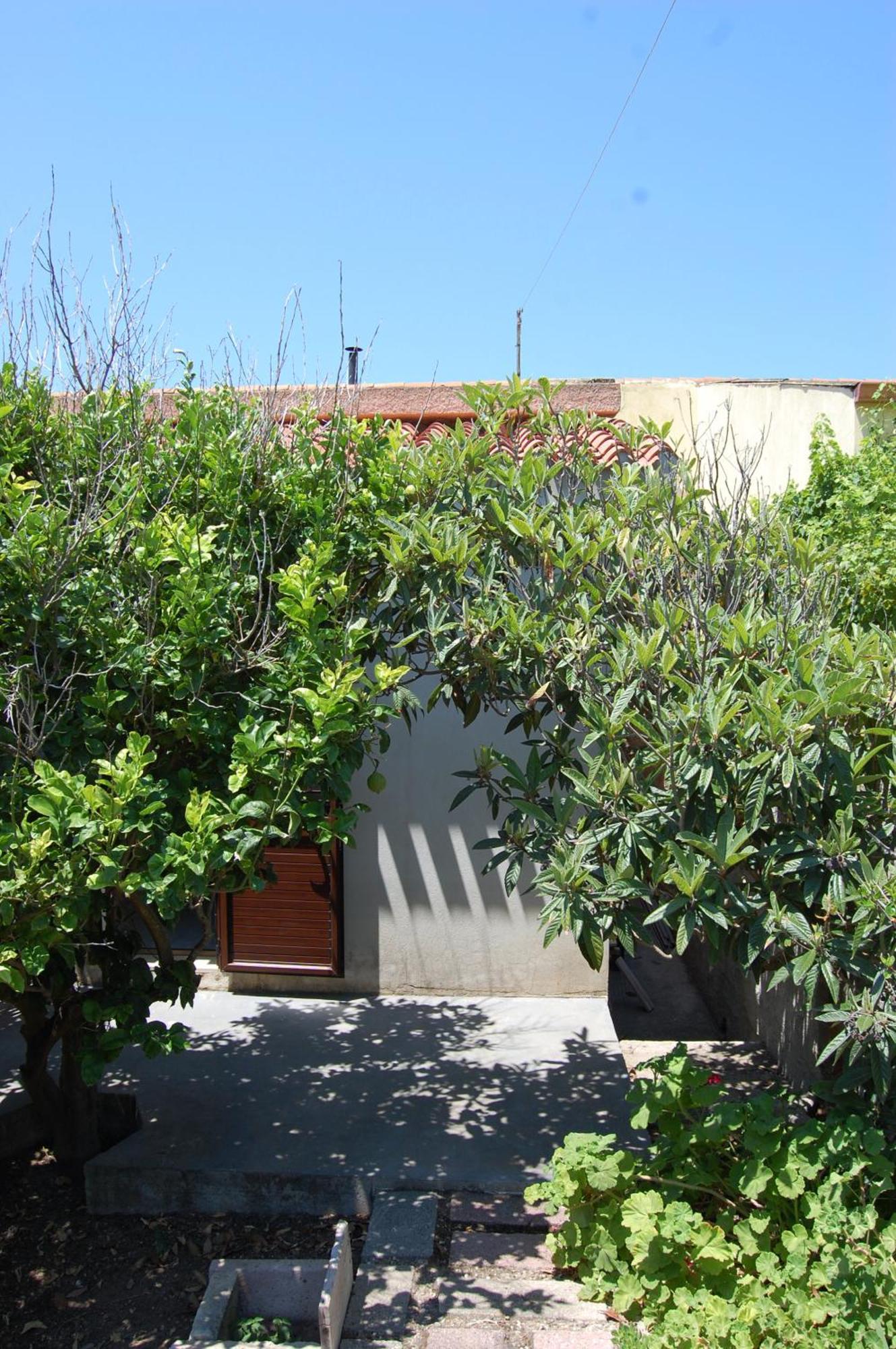 Bed and Breakfast Andrea E Valentina S'archittu Cuglieri Exterior foto